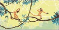 Lan Qu, China | In the shoes of monkey